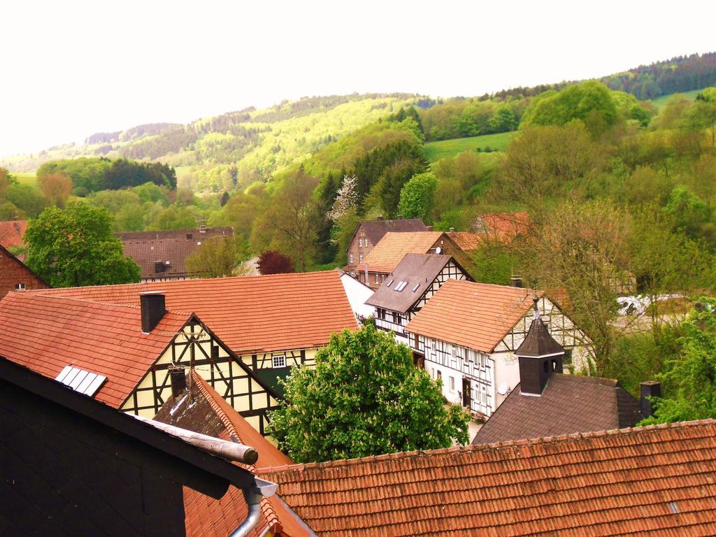 Apartment Preising Willingen  Buitenkant foto