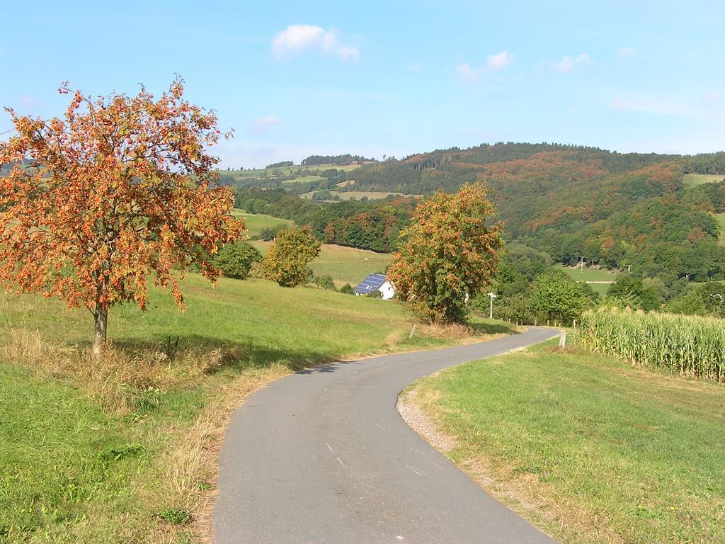 Apartment Preising Willingen  Buitenkant foto
